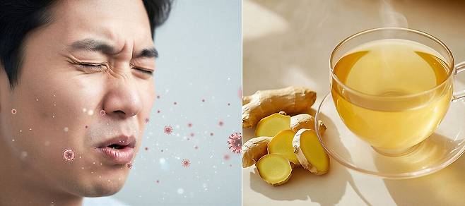 생강의 핵심 성분인 진저롤(gingerol)은 항염 및 항산화 작용을 통해 기관지 염증을 완화하고, 외부 자극으로부터 호흡기를 보호하는 데 도움을 준다. 클립아트코리아 제공