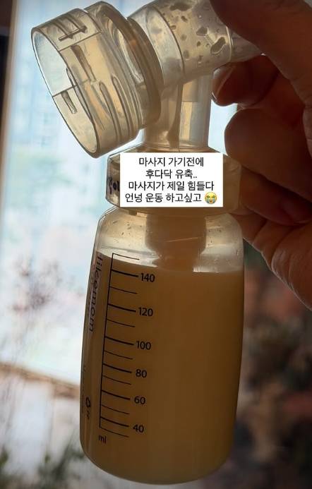 ▲ 출처|야옹이 인스타그램