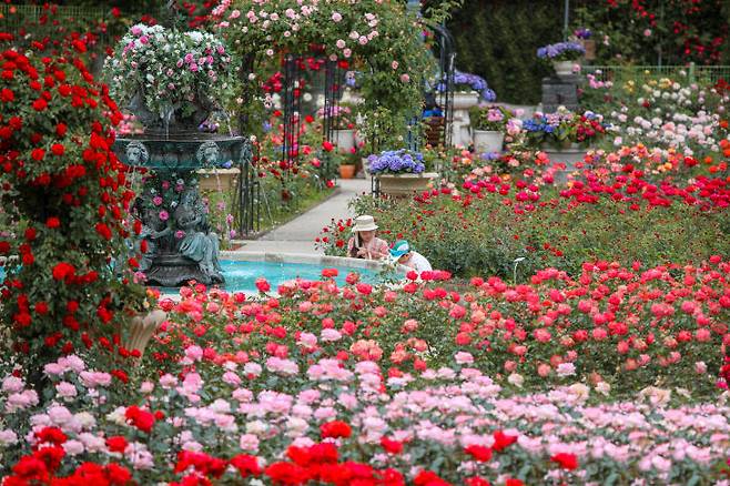 베어트리파크 봄날의 전경6.