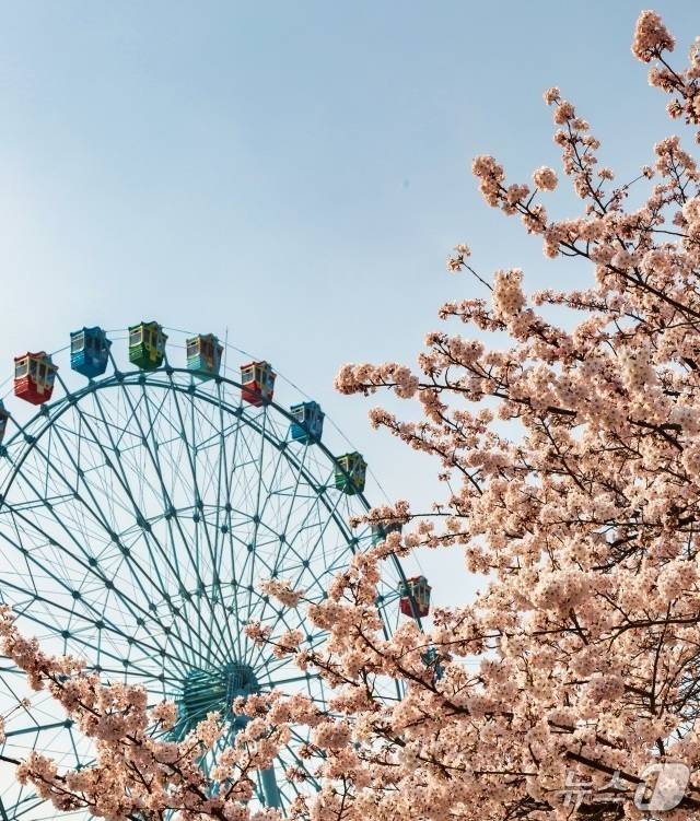 월미공원 (인천관광공사 제공.재판매 및 DB금지)