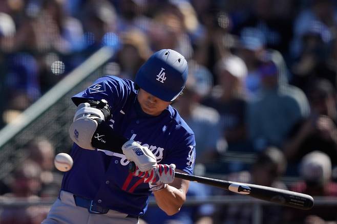 오타니 쇼헤이. AP연합뉴스