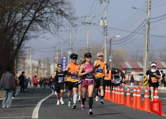 참가자 1년 새 두 배 급증 특산물·관광 결합으로 지역경제 파급력 확대