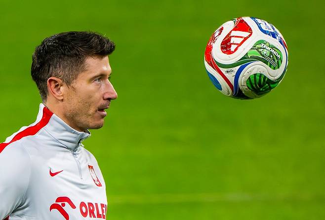 폴란드 공격수 로베르토 레반도프스키. EPA=연합뉴스