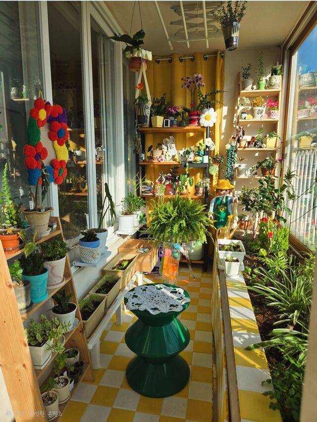 베란다를 텃밭으로 꾸민 모습. 박세화씨