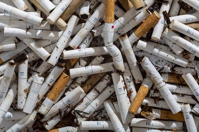 클립아트코리아