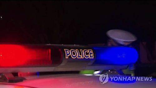 순찰차 야간 [연합뉴스 자료사진]