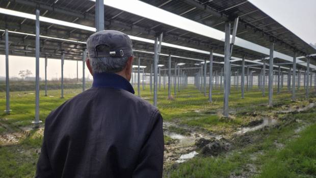 2일 영광군 염산면 월평마을 주민 강모씨가 1년간 방치된 영농형 태양광 시설을 바라보고 있다.