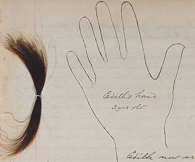 로제타 홀 일기에 수록된 딸 에디스의 손바닥 그림. 3살 생일 때 손바닥을 대고 둘레를 펜으로 그린 그림. 로제타의 딸인 에디스는 이 그림을 그린 몇 달 후 이질로 서울에서 세상을 떠나 양화진외국인선교사묘역에 잠들었다. /양화진기록원 제공