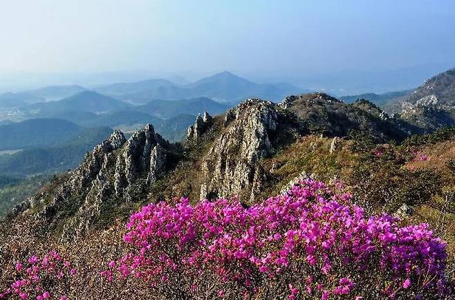 봄철 해남 달마산 풍경. 해남군청 제공