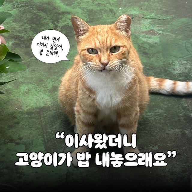 보호자 제공