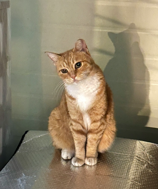 주인공 뿌링이 등장! 보호자 제공