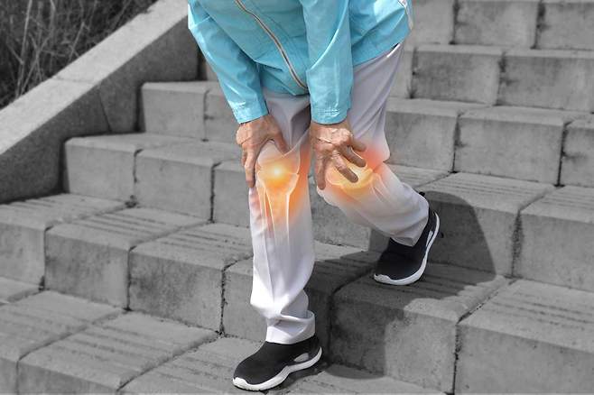 하지 관절은 하나의 축으로 연결된 유기적인 구조인 만큼 통합적 관리가 중요하다./사진=클립아트코리아