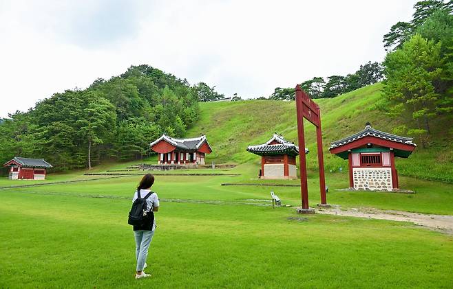 영월 장릉에 찾아온 봄