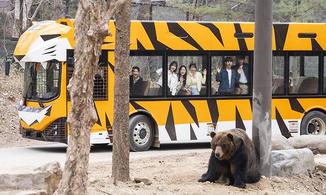 경기 용인시 에버랜드의 ‘뉴(NEW) 사파리월드’.&nbsp;에버랜드 제공