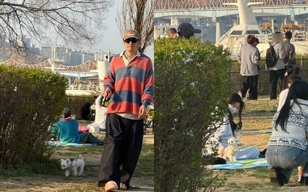 사회관계망서비스(SNS)·온라인커뮤니티