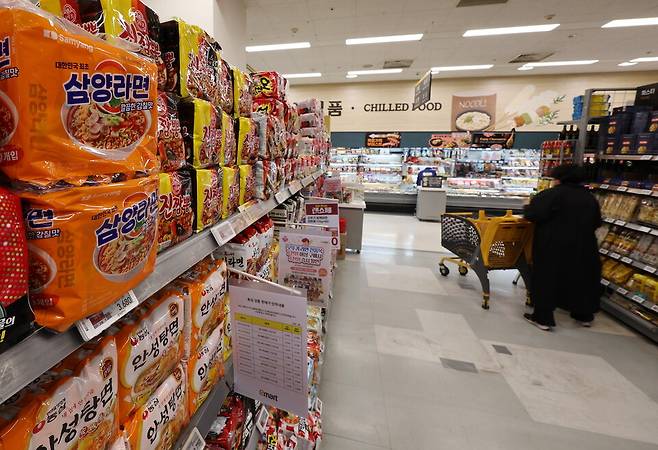 지난달 27일 서울의 한 대형마트에서 시민이 장을 보고 있다. ⓒ연합뉴스