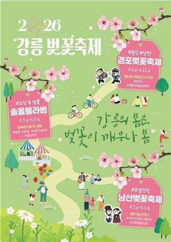 강릉벚꽃축제 홍보물 [연합뉴스 자료사진]