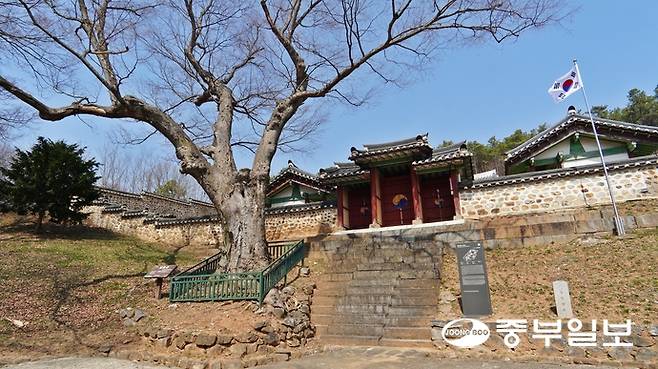 김포 통진향교의 400년 느티나무와 내삼문. 유승혜 여행작가