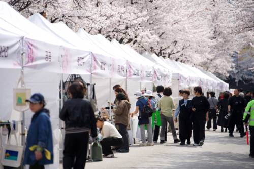◇강릉교동택지 일원에서는 3일부터 5일까지 솔올블라썸이 개막했다. 축제의 중심인 솔올공연장에서는 초청가수 공연과 교1동 주민자치센터 수강생들의 발표 무대가 진행되고 일부 구간을 ‘차 없는 거리’로 운영해 플리마켓, 먹거리, 영화 상영, 어린이 놀이터 등 다양한 프로그램이 마련돼 남녀노소 누구나 즐길 수 있는 축제의 장이 펼쳐졌다.