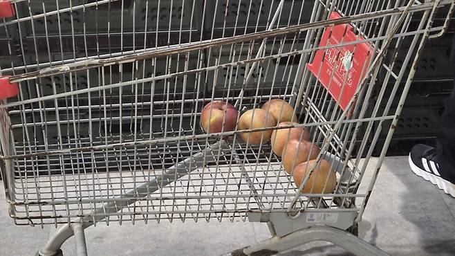 대형마트 내 무상 봉투 비치가 사라지면서 소비자들이 카트에 과일을 낱개로 담는 모습./ 사진=조건희 기자