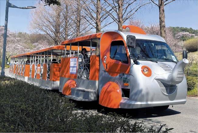 1984년 서울대공원 개원 당시 코끼리열차(위 사진)와 현재 운행 중인 코끼리열차의 모습. /서울역사아카이브·서울대공원