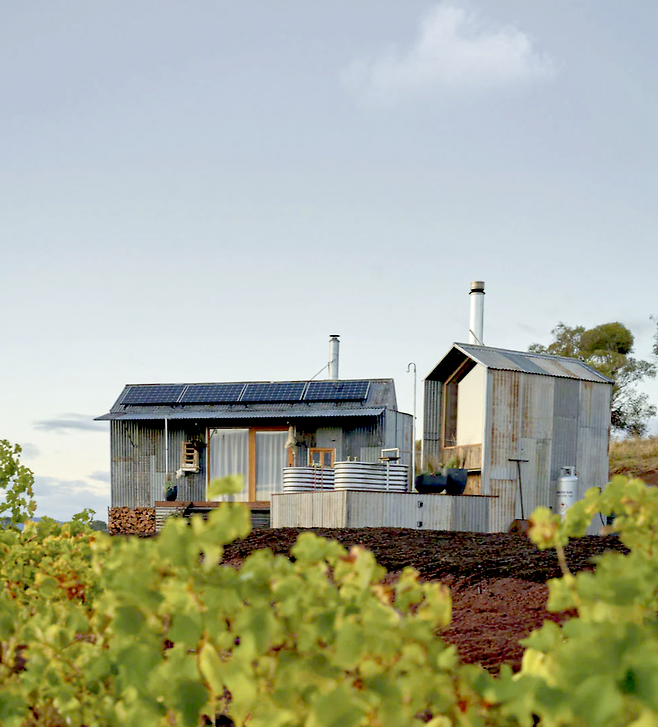 비 팜 바이 머레이스