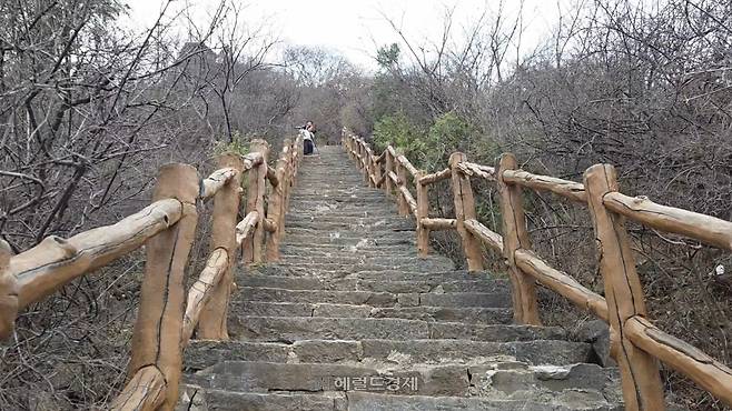 달마동 오르는 가파른 계단 길