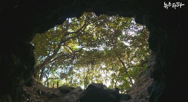 제주 서우봉 일제 동굴진지