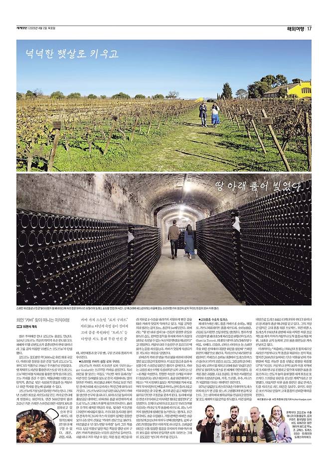 세계일보 여행면. 편집=김소연 기자