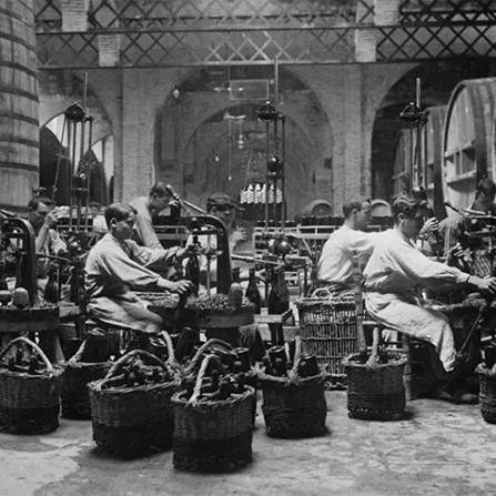 코도르뉴 와인 양조 자료 사진. 홈페이지