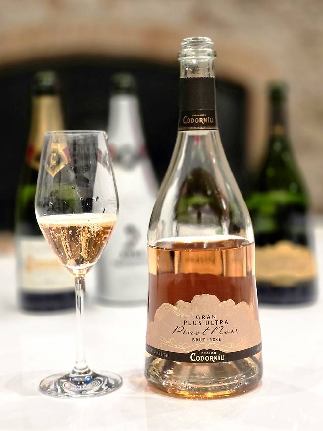 코도르뉴 그란 플러스 울트라 피노누아.&nbsp;최현태 기자