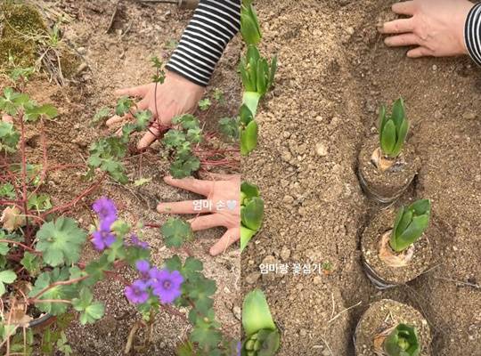 송혜교 개인계정