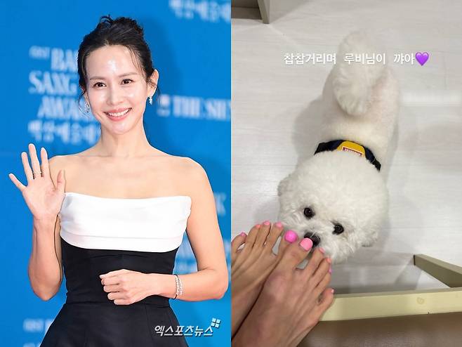 사진 = 엑스포츠뉴스 DB, 조여정 인스타그램 스토리