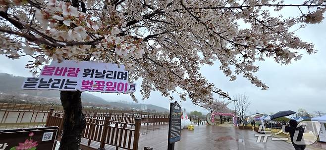 구미 지산샛강 생태공원에서 4일 벚꽃축제가 열리고 있지만 오전부터 내린비로 비교적 한산한 모습을 보이고 있다. 2026.4.4/뉴스1