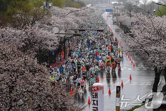 4일 경북 경주시 보문단지에서 열린 제33회 경주벚꽃미라톤 대회에서 참가자들이 출발 신호에 맞춰 힘차게 달리고 있다. 2026.4.4 ⓒ 뉴스1 최창호 기자