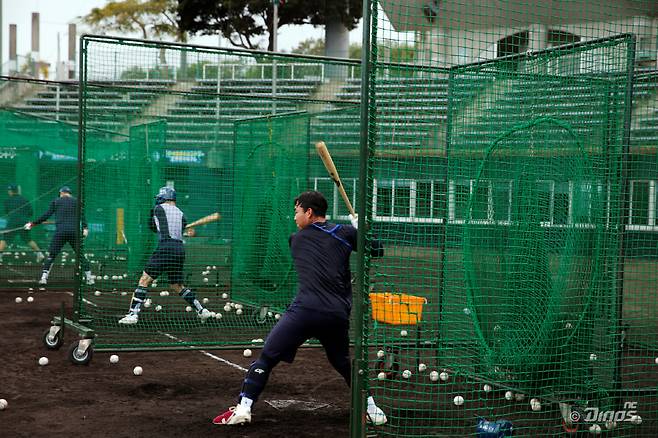 타격 훈련하는 NC 다이노스 선수들. 사진제공=NC 다이노스