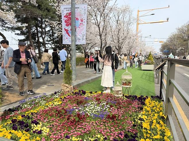 영등포 여의도 봄꽃축제 포토존 / 사진= 문서연 여행+ 기자