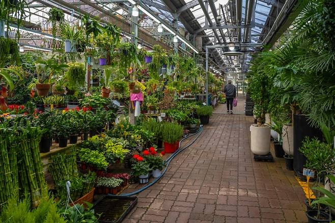 식물원 같은 양쟈꽃시장 분화 매장.