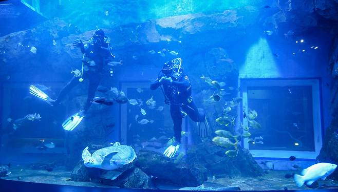 해양생태과학관  : 사진 제공 = 경기관광공사