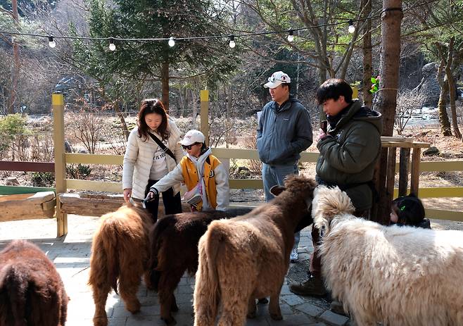 포천 마이애니멀스토리in평강랜드  : 사진 제공 = 경기관광공사