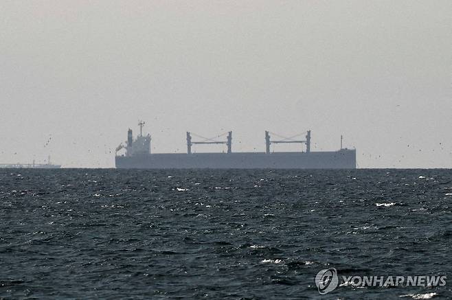 호르무즈 해협 인근 해역을 지나는 화물선 [로이터=연합뉴스. 재판매 및 DB 금지]