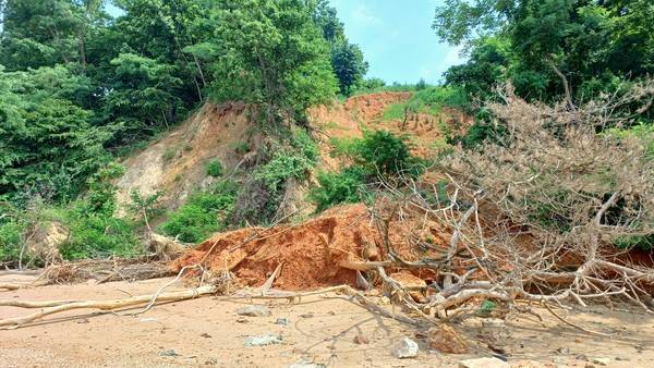 안산시 방아머리선착장~구봉도 사이 해안 2023.7 [사진=장정구 기후생명정책연구원 대표]