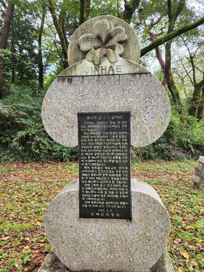 진해 장복산 입구에 세원진 '벚나무 숲 조성 공적비' 모습. /진해문화원