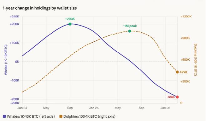 1년간 지갑규모별 비트코인 보유량 추이