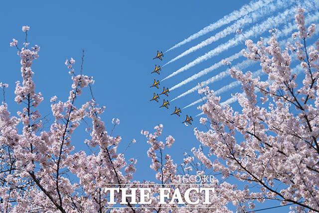 공군 특수비행팀 블랙이글스가 5일 오후 서울 여의도 상공에서 '여의도 봄꽃축제' 축하비행을 펼치고 있다. /박헌우 기자