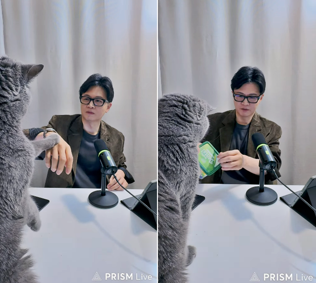 한동훈 전 국민의힘 당대표가 지난 4월 3일 밤 8시30분부터 약 1시간10분 간 자신의 유튜브 채널(검색어 한동훈입니다)에서 생방송하는 도중 애완묘 ‘탄이’가 조르자 간식을 주고 있다.[한동훈 전 법무부 장관 유튜브 채널 ‘한동훈’ 영상 갈무리]