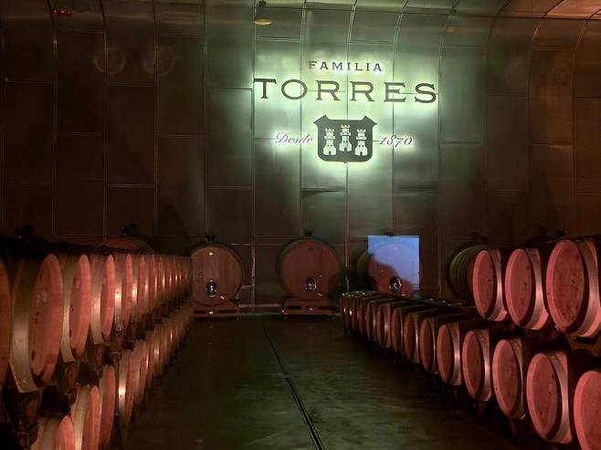 토레스 지하 셀러. 최현태 기자