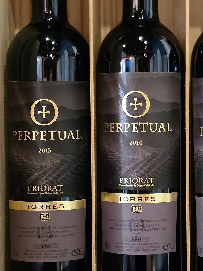 퍼페추얼. 최현태 기자