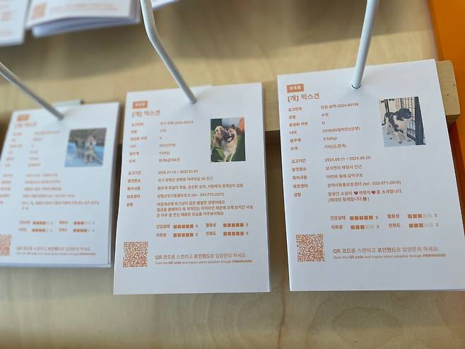 포인핸드 입양문화센터에 붙어있는 유기 동물 입양 안내문 [촬영 김세린]
