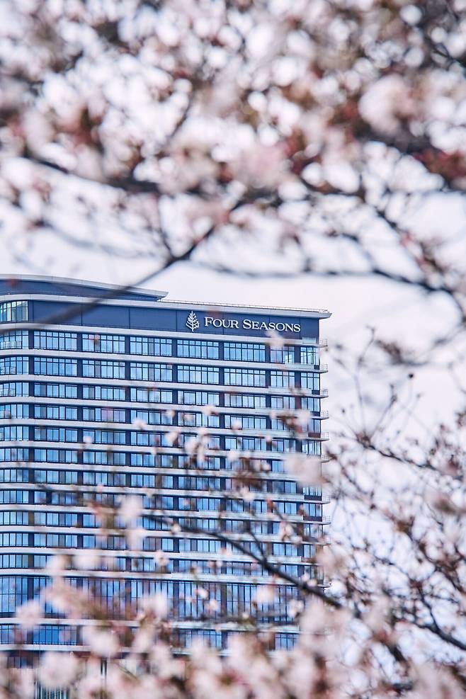 2024년 오사카 도지마 지역에 문을 연 포시즌스 호텔 오사카.